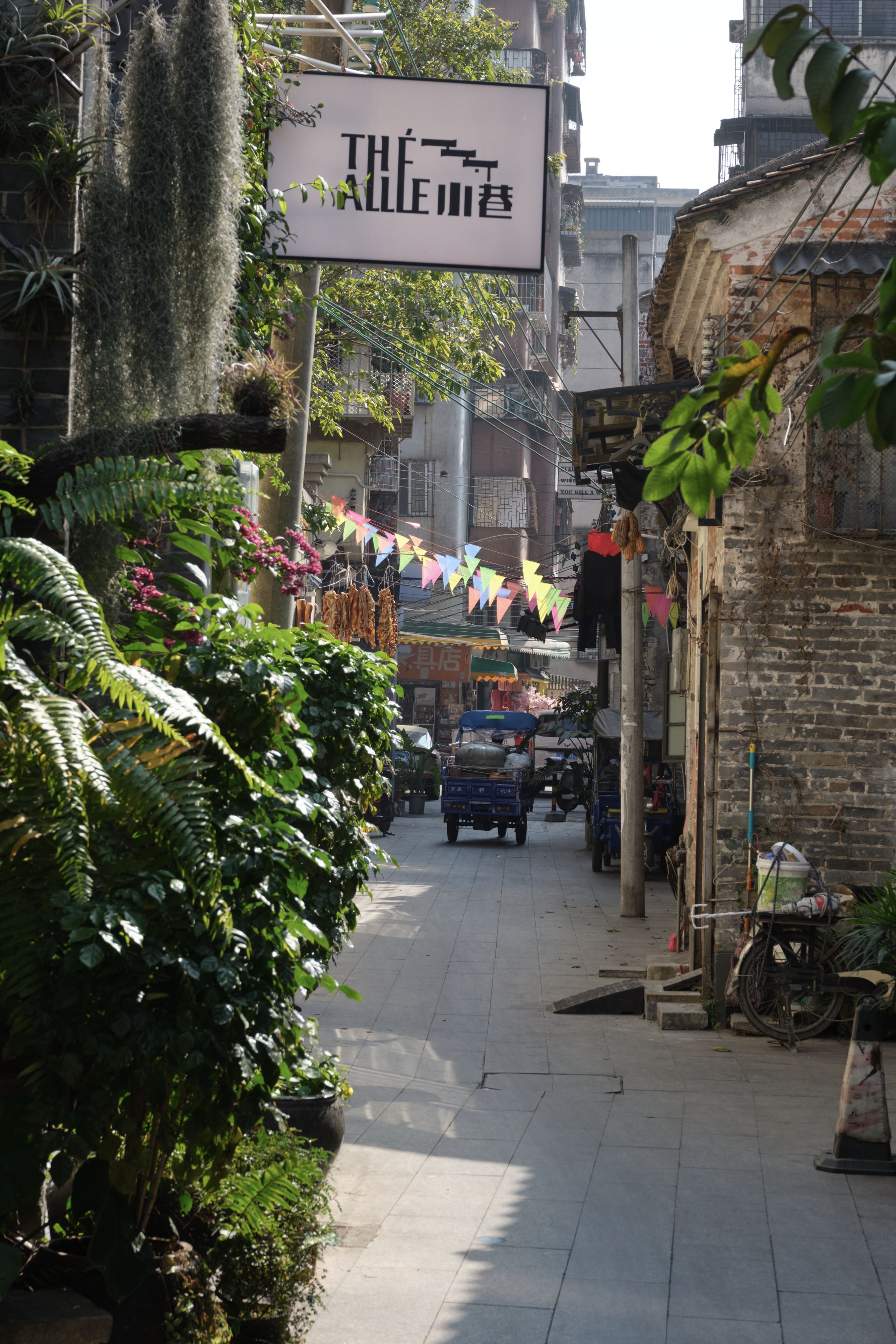 Alley
