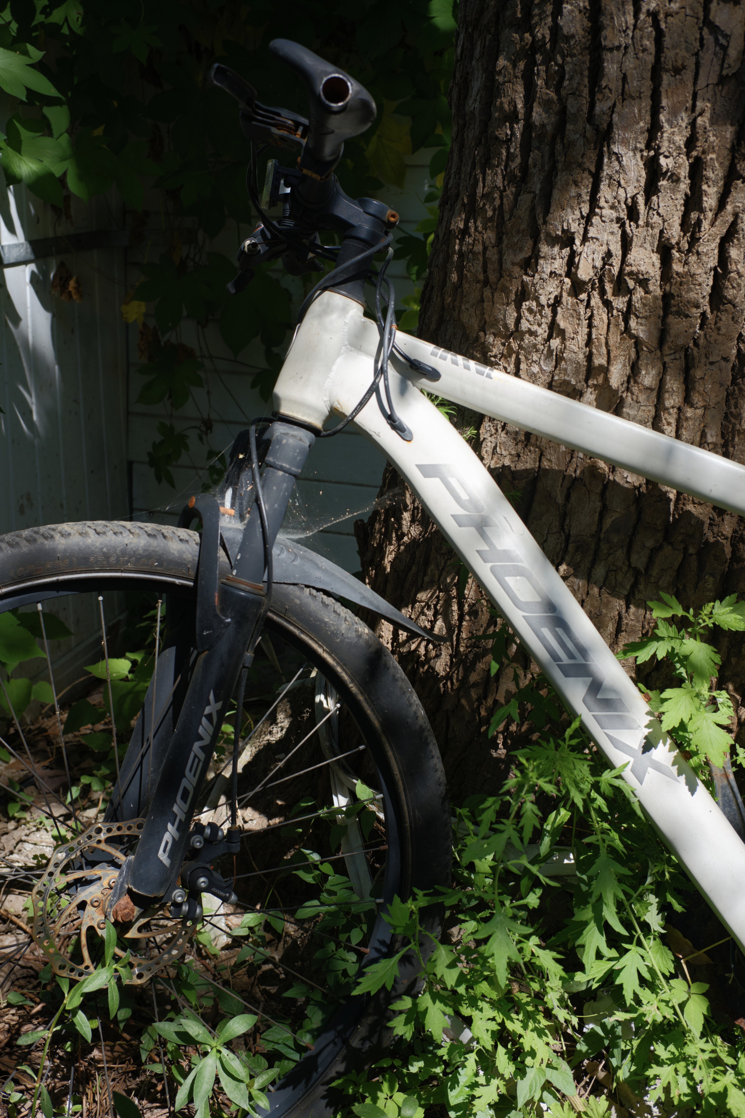 bike
