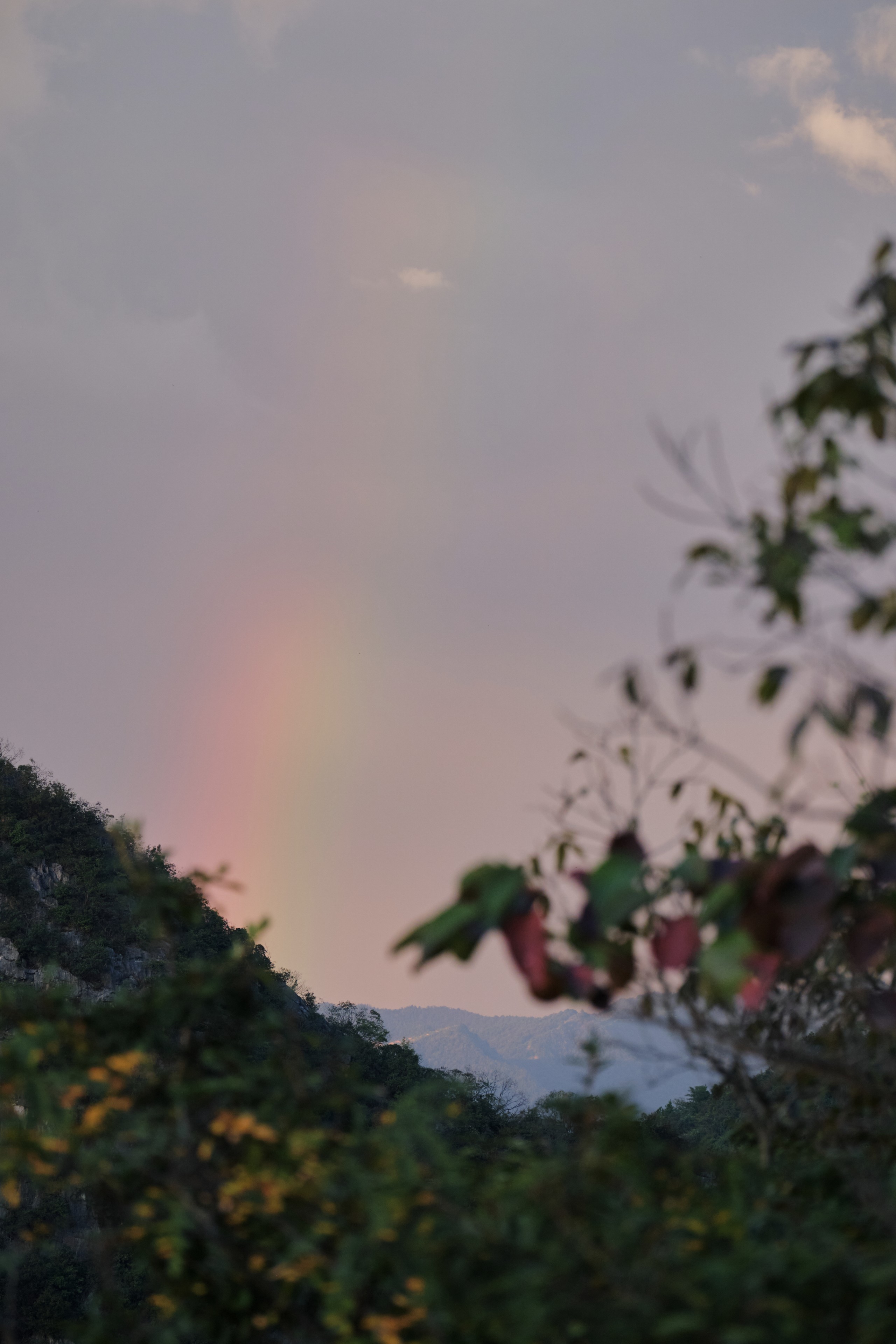 A faint rainbow is visible in a pastel sky above dark green hills. Blurred foliage occupies the foreground, with distant mountains faintly visible