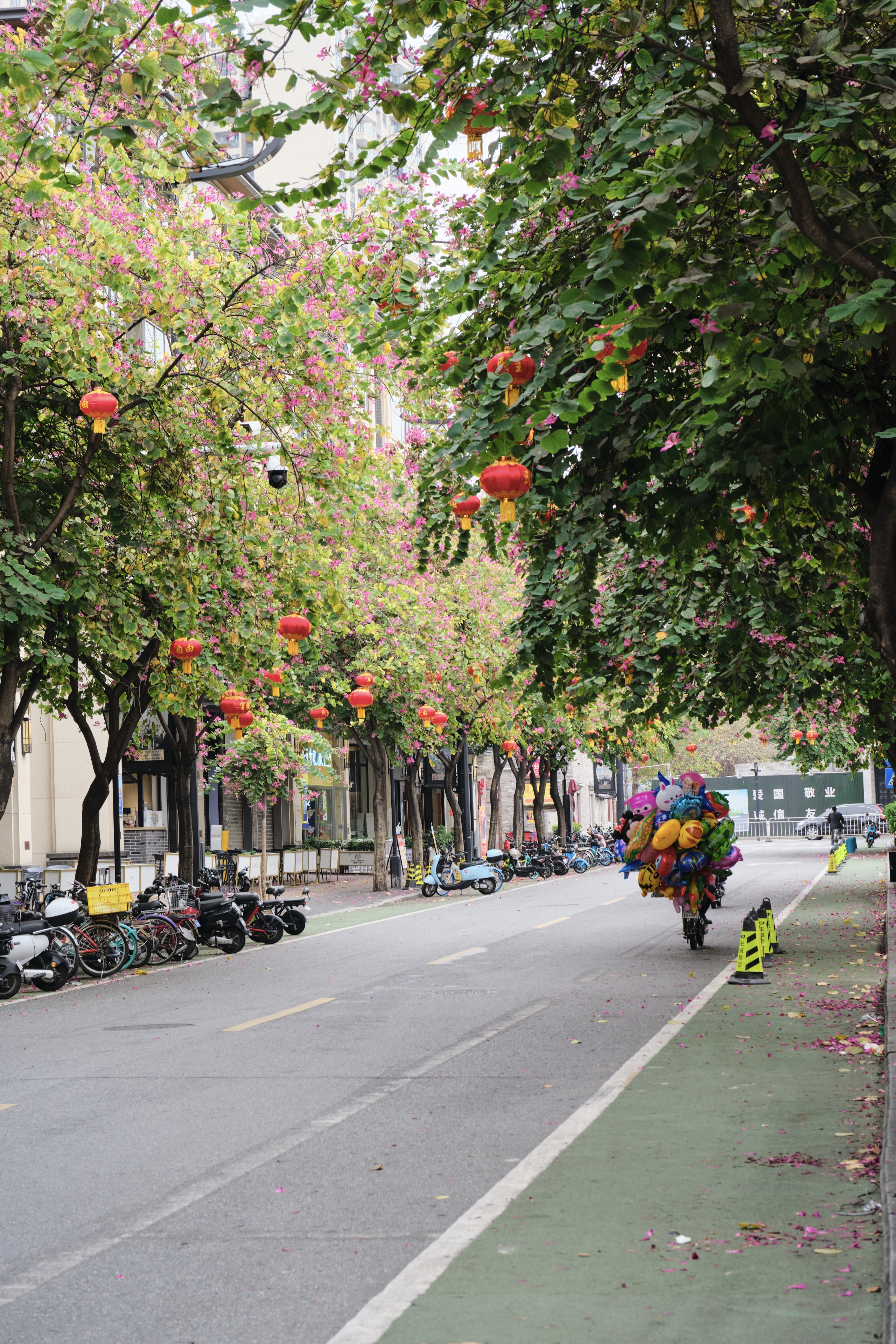 A tree-lined city street decorated with hanging red lanterns with a motorbike laden with a large pile of colorful items driving away in the distance