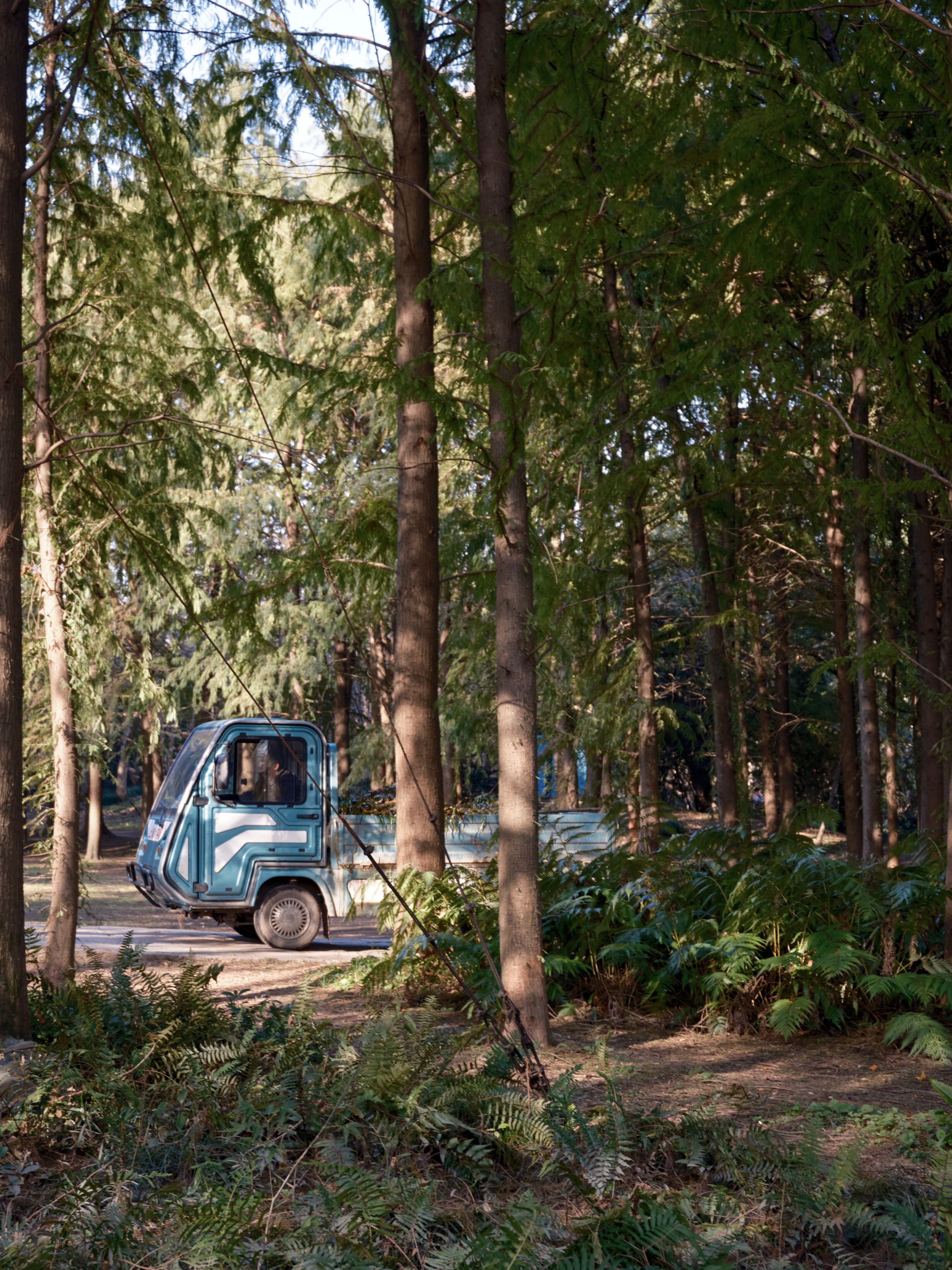Little truck