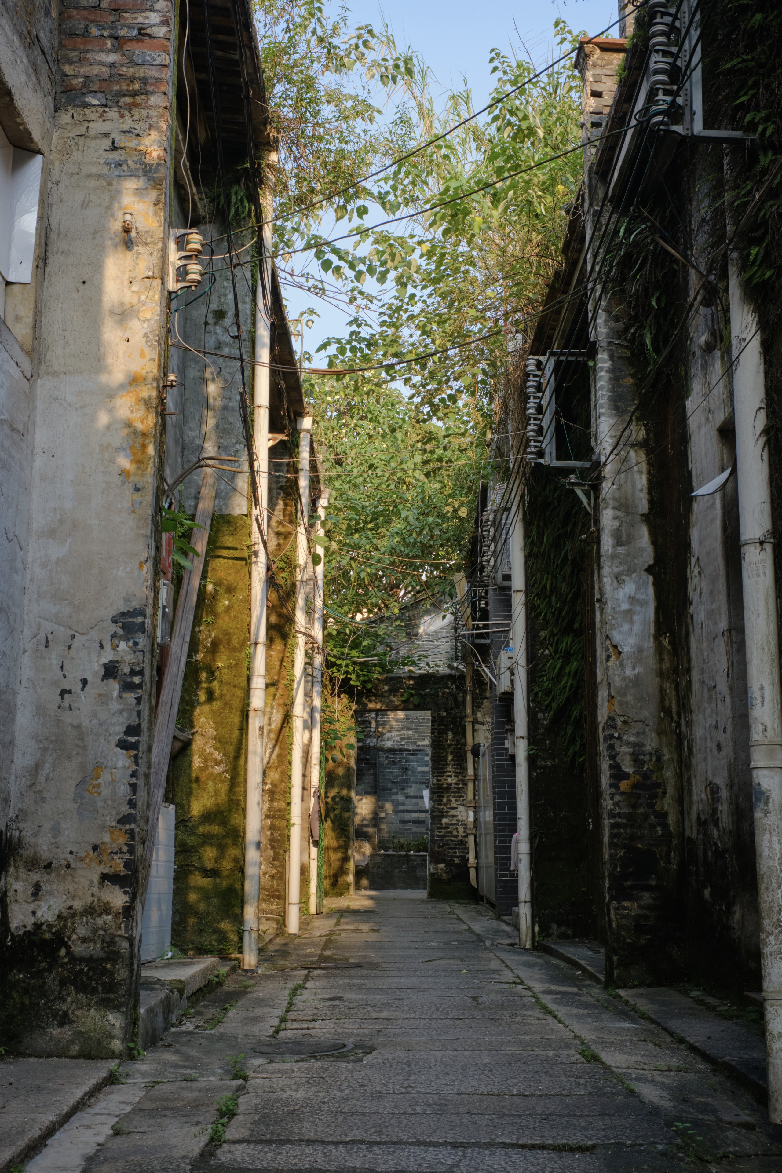 Narrow, weathered alleyway flanked by old buildings with moss and overgrown vegetation. A stone path leads to a distant, arched opening partially covered by foliage