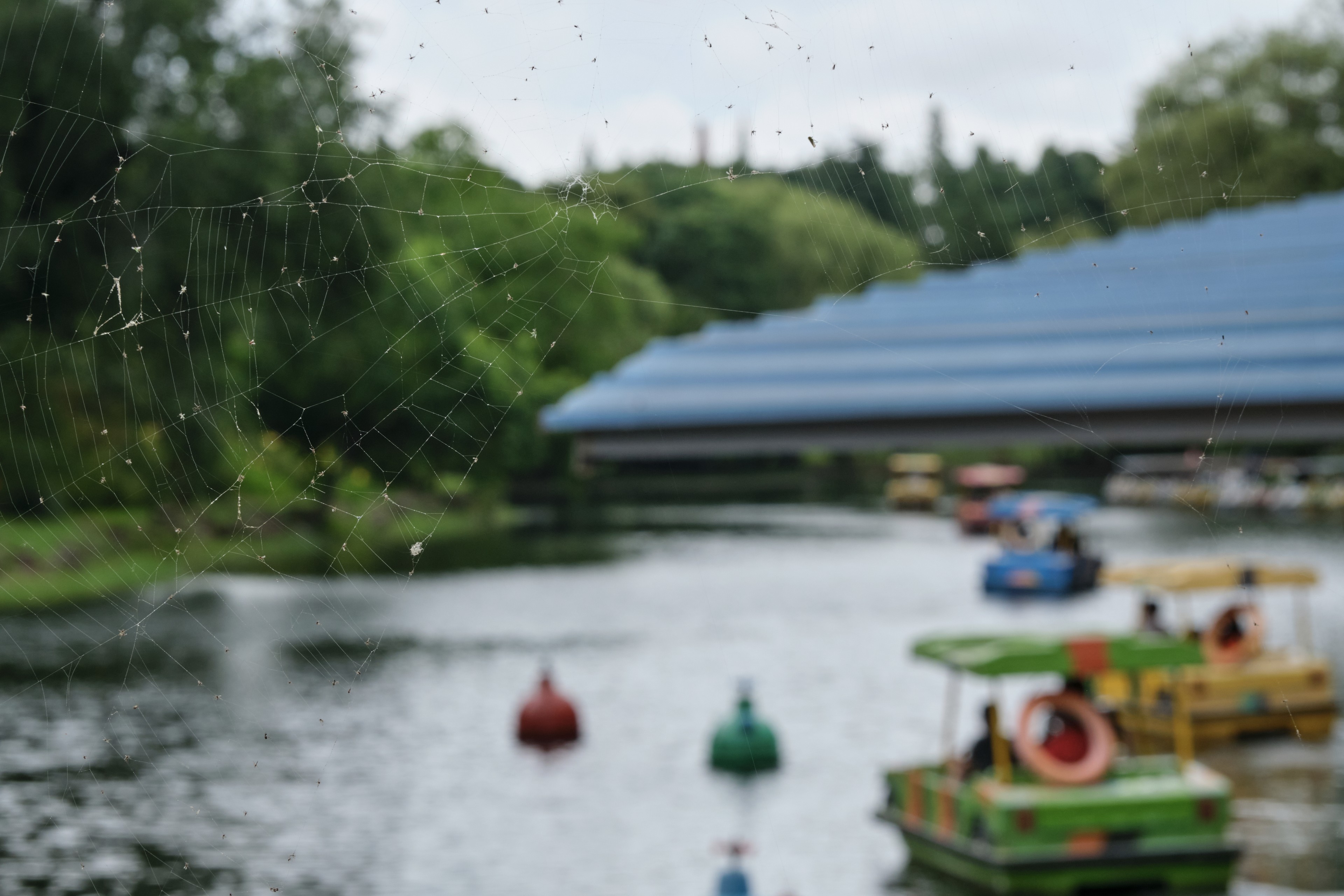 Blurry image of paddle boats on a body of water with trees and a blue-roofed structure in the background. Red and green buoys float in the foreground