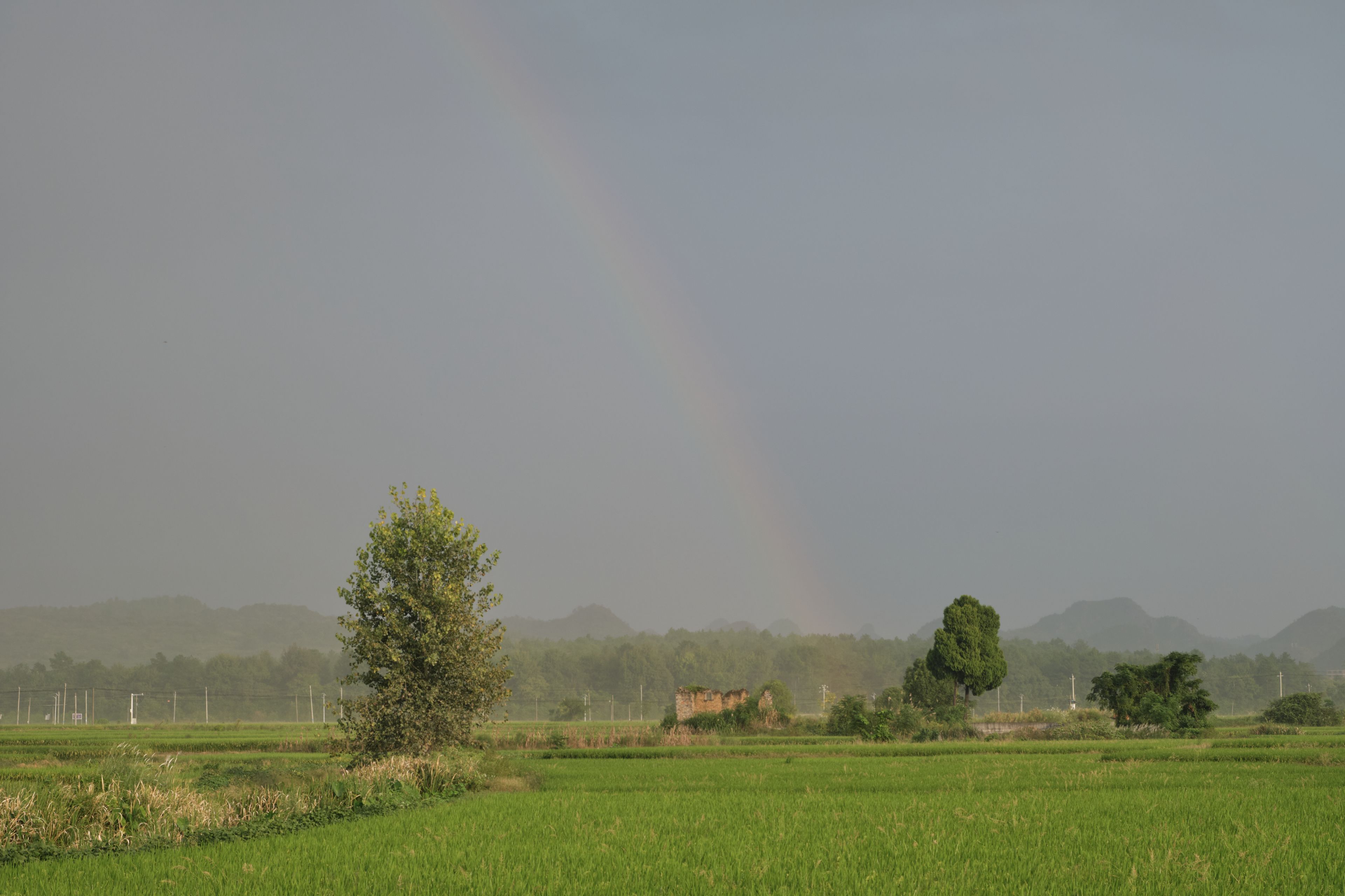 Rainbow