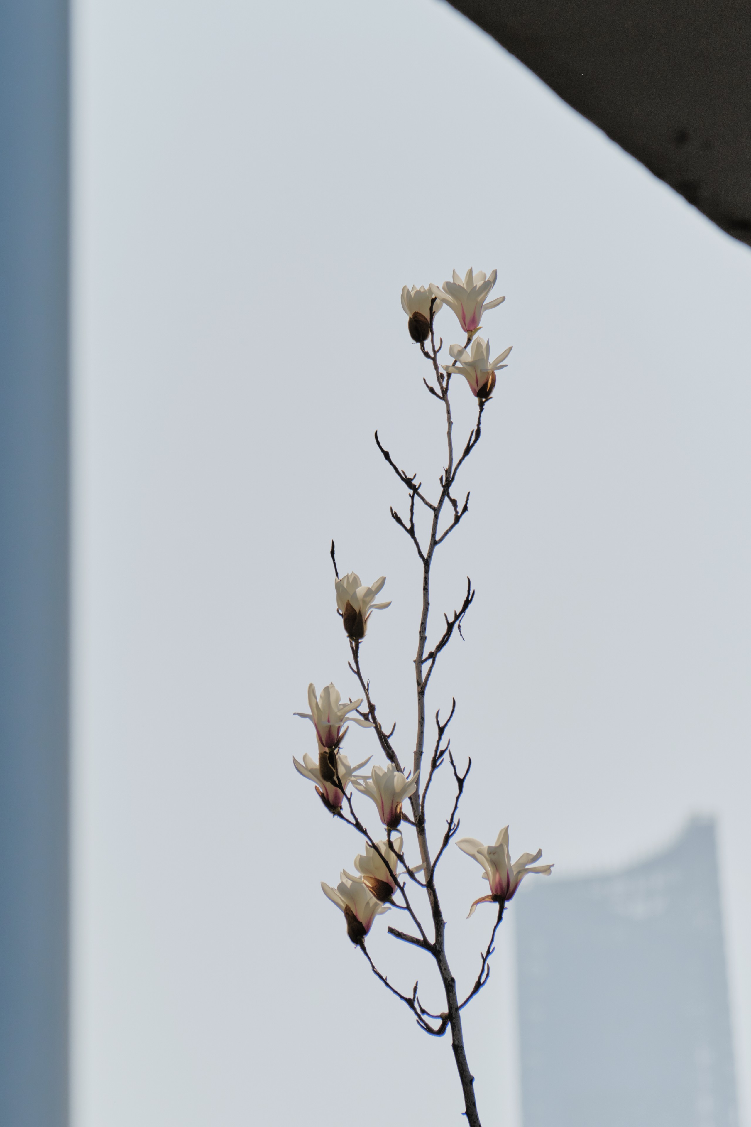 14 MAR 26