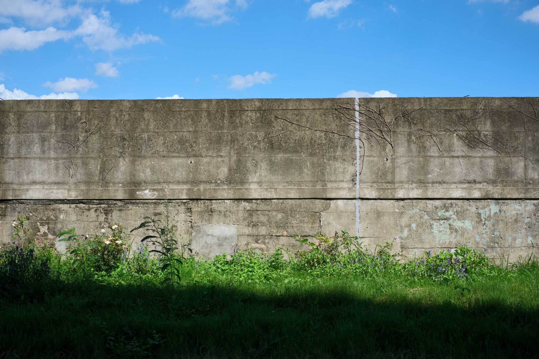 A long, weathered concrete wall with a horizontal seam and faint vertical line, spans the mid-frame. Below is a strip of green grass, partially shaded. Above is a blue sky with scattered white clouds