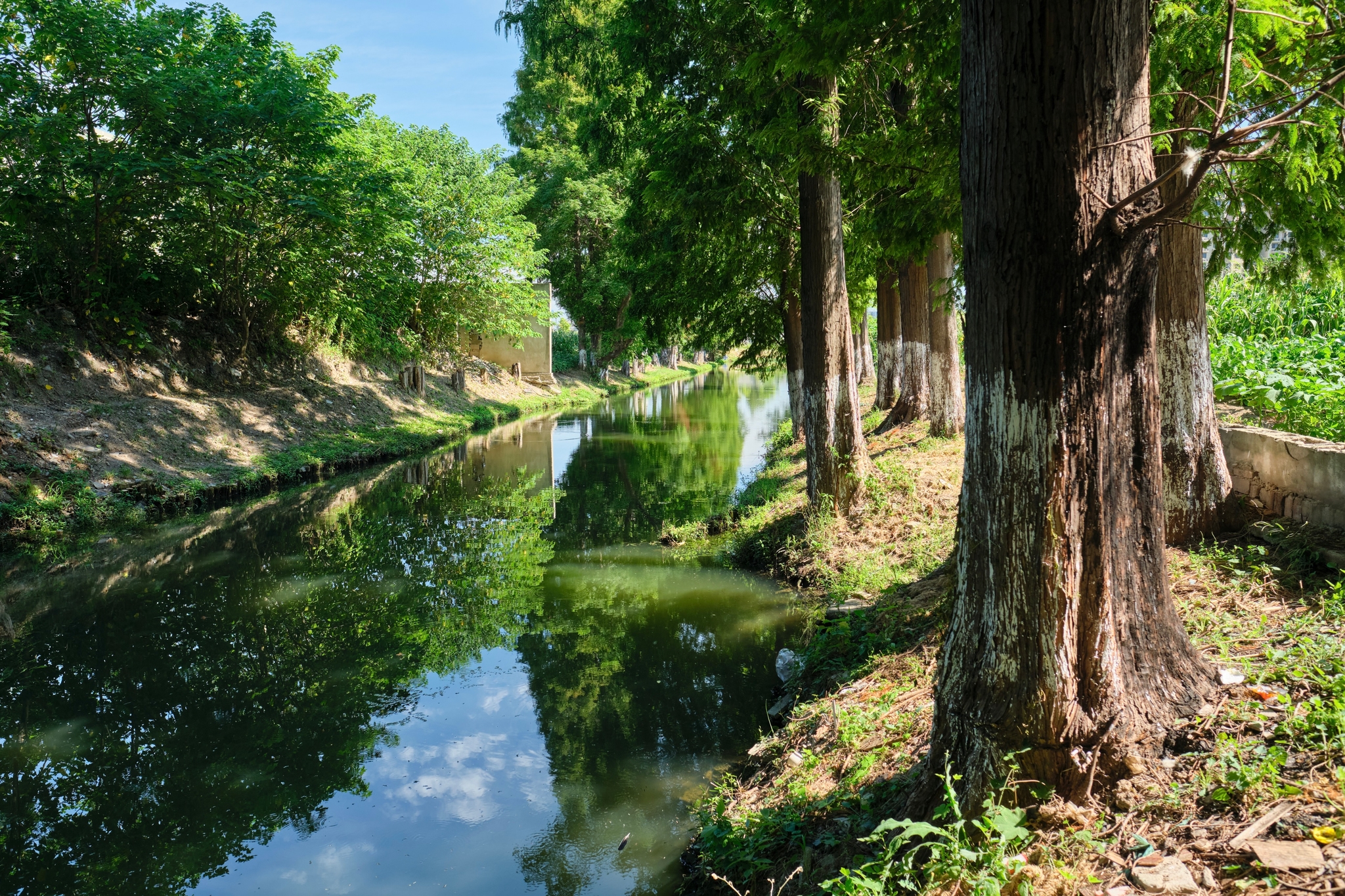 Stream