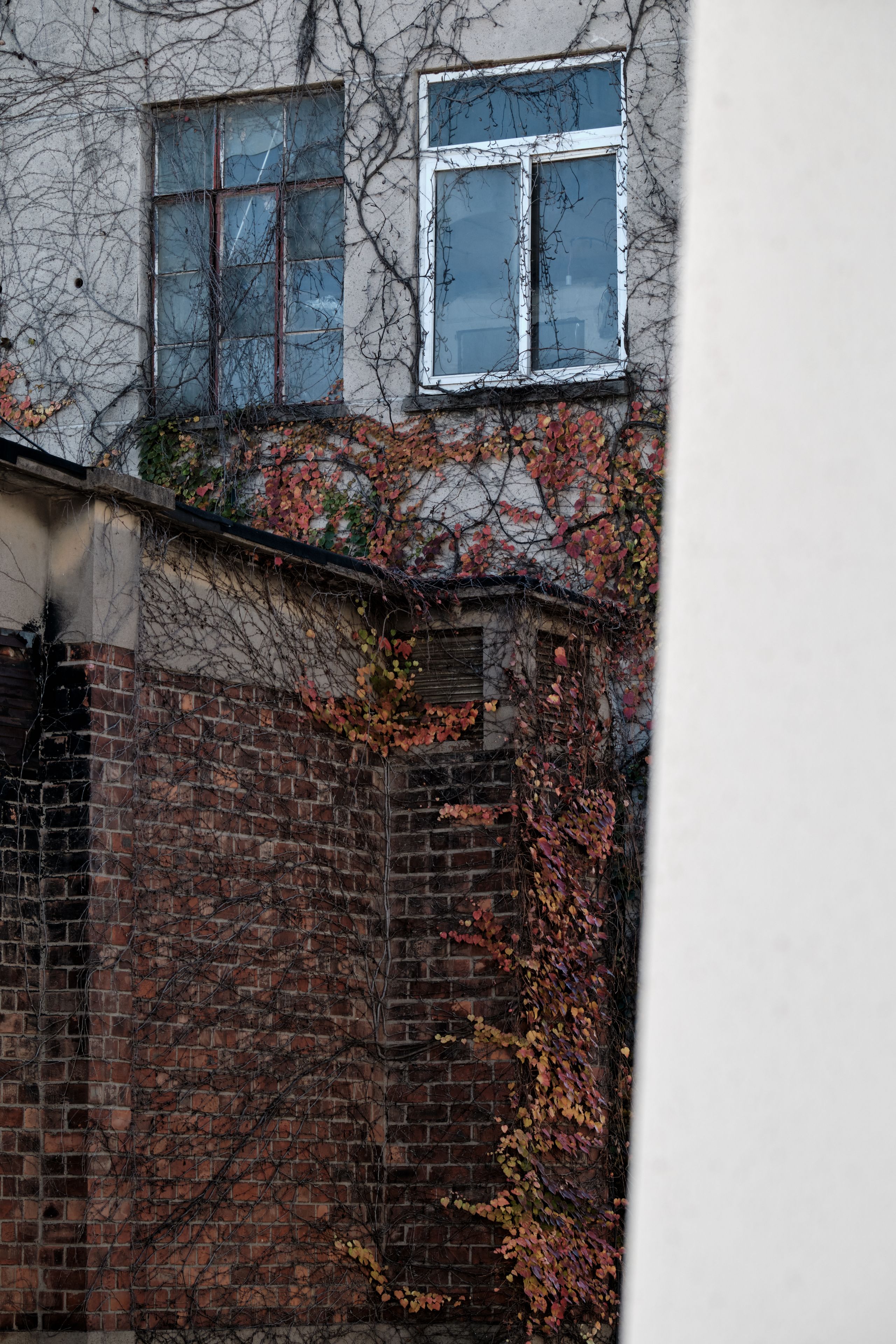 Window to window