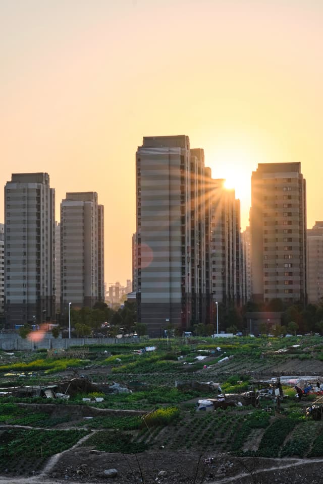 A low-angle view of multiple tall residential apartment buildings under a golden sky during sunset, with foreground agricultural plots and dirt paths