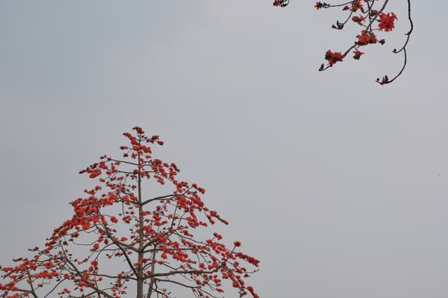 25 FEB 26