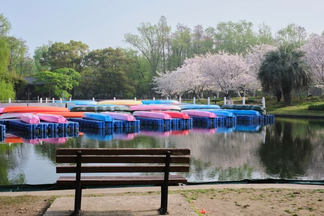 Spring
