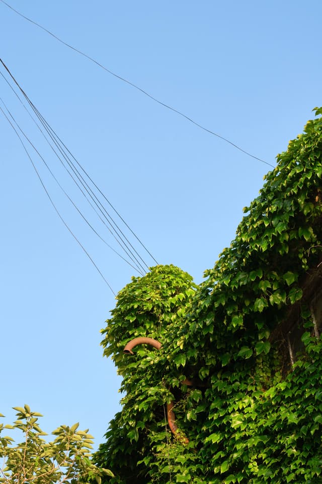 17 MAY 24