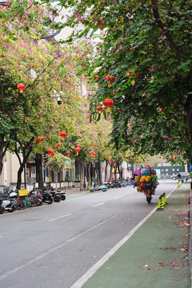 A tree-lined city street decorated with hanging red lanterns with a motorbike laden with a large pile of colorful items driving away in the distance