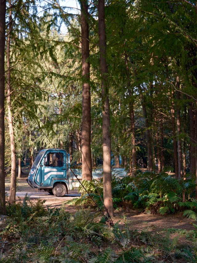 Little truck
