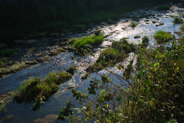 Rocky river flowing through green foliage, sunlight reflecting on water
