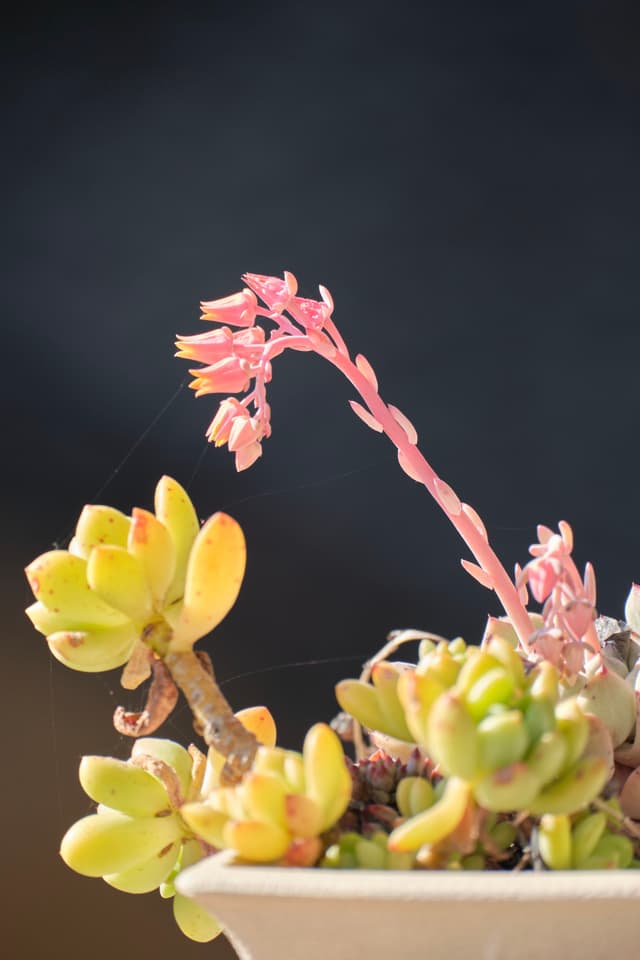 11 FEB 24