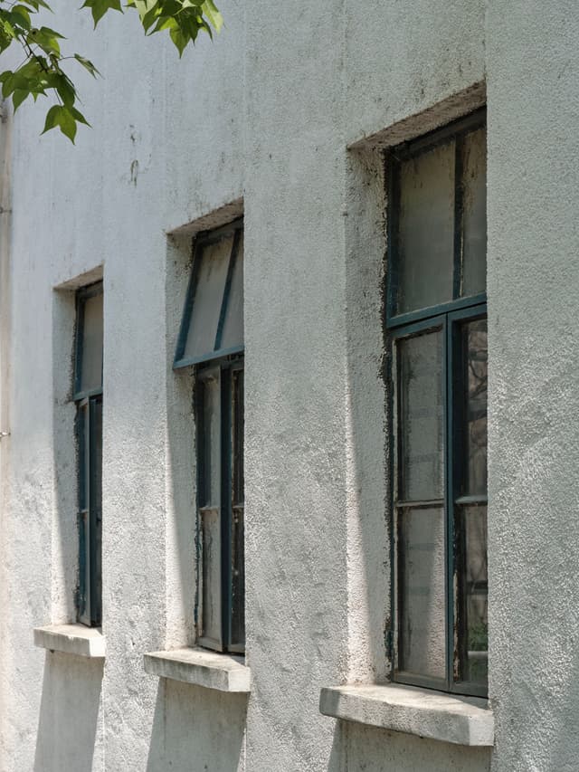 Windows