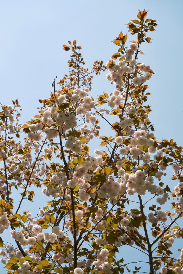 08 APR 23