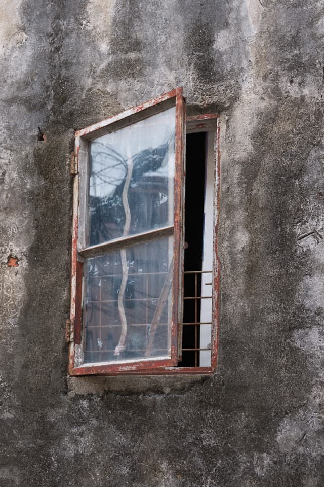 Window