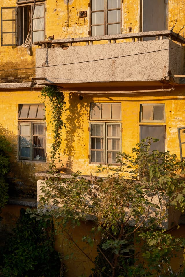Yellow Mansions
