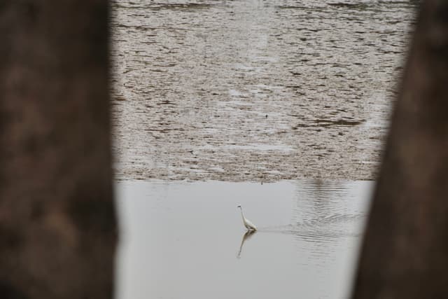 25 FEB 26