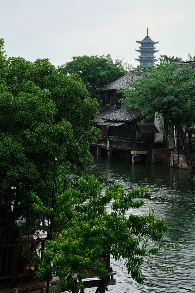 呼应
