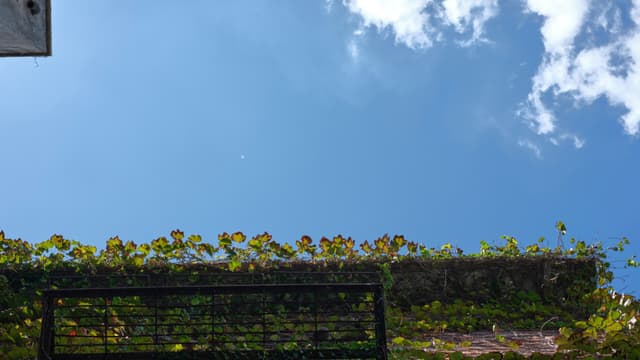 Look up