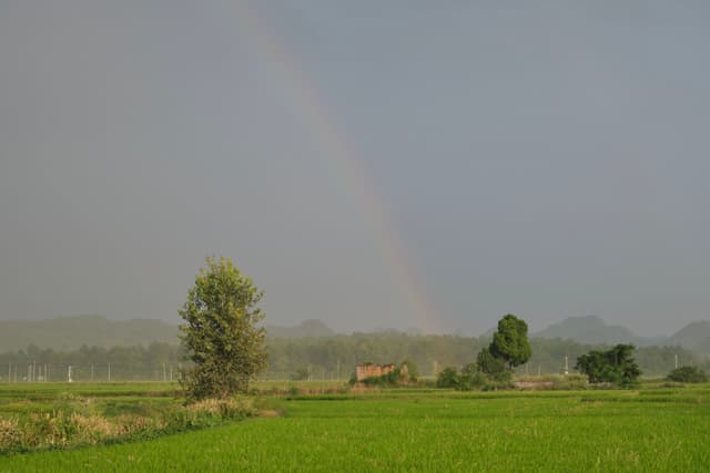Rainbow