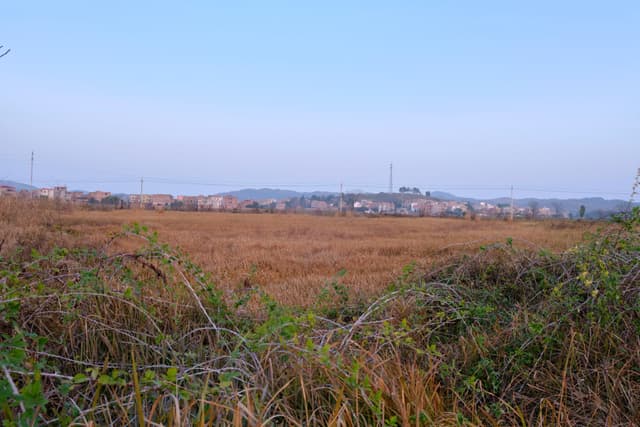 Dry reddish-brown field with green brush in foreground, city skyline in distance under clear pale blue sky