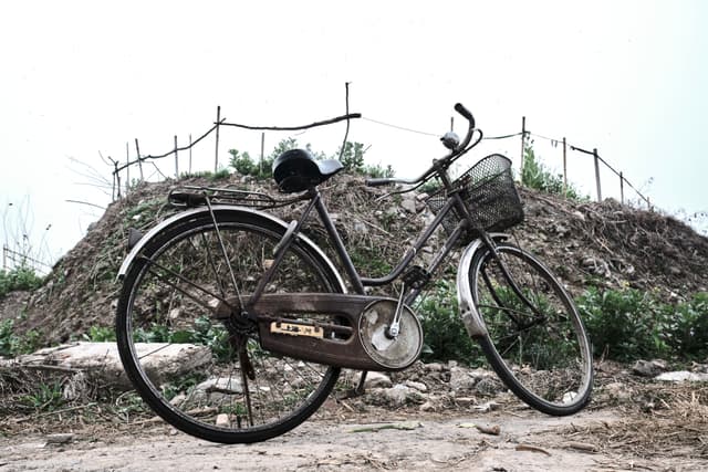 Bicycle