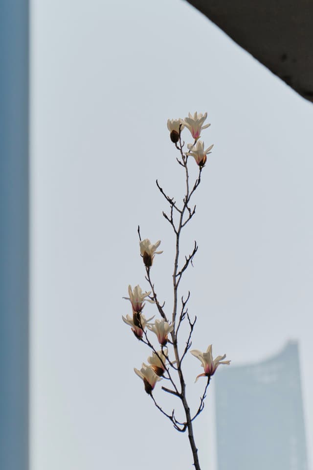 14 MAR 26