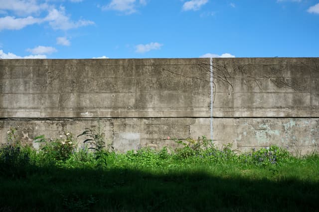 A long, weathered concrete wall with a horizontal seam and faint vertical line, spans the mid-frame. Below is a strip of green grass, partially shaded. Above is a blue sky with scattered white clouds