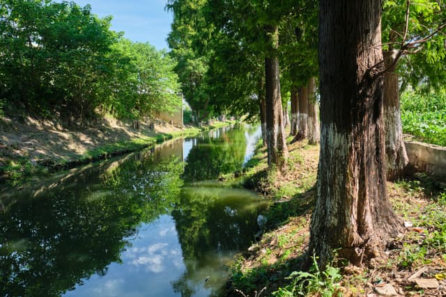 Stream
