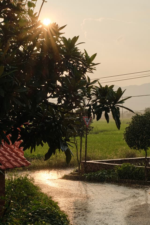 骤雨初晴