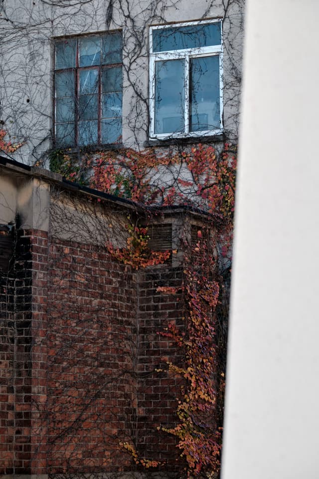 Window to window