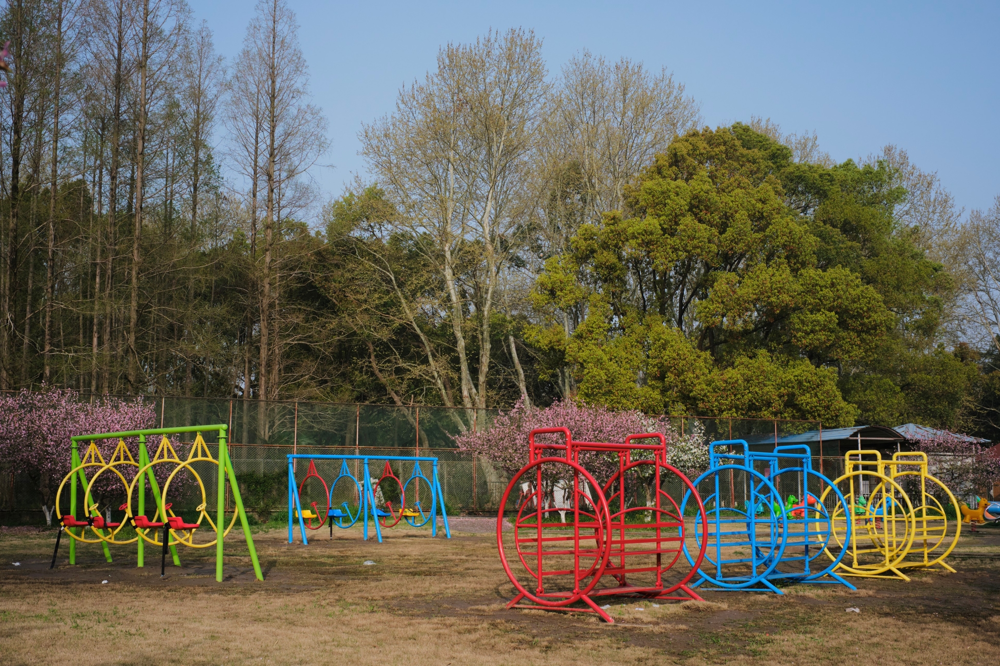 Park Playground